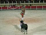 Corrida portoghese(Les forcados)